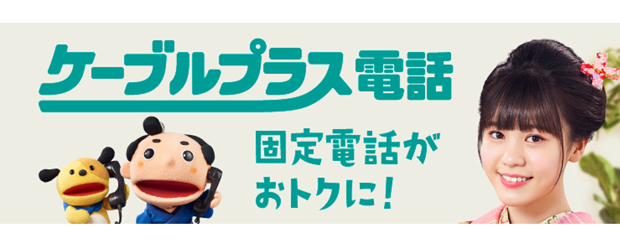 ケーブルプラス電話