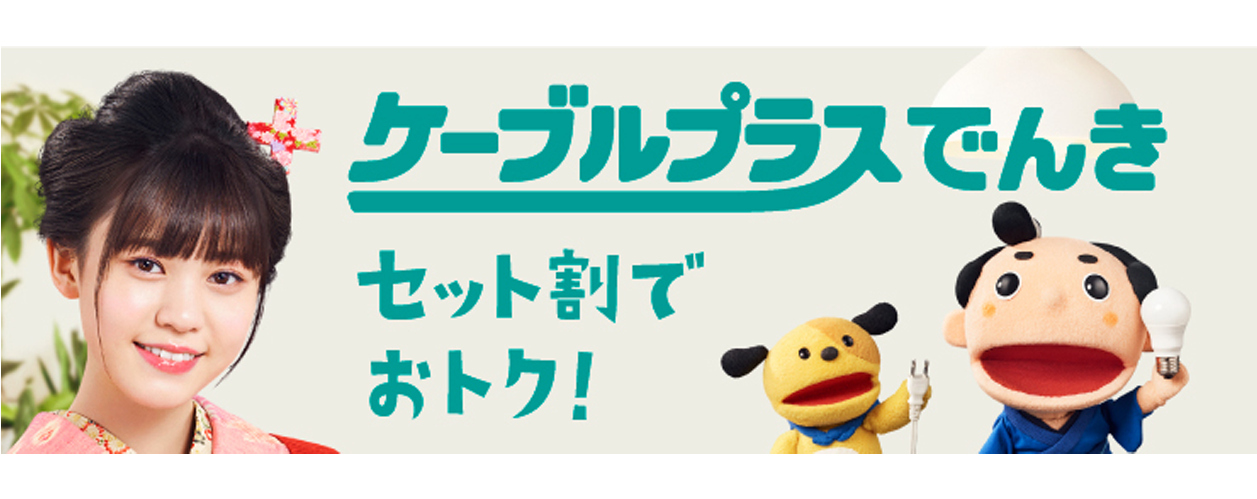 ケーブルプラスでんき